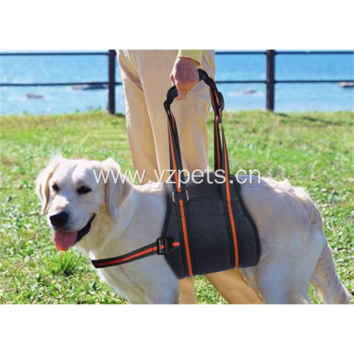 Reversible comfortable adjustable dog harness easy to clean